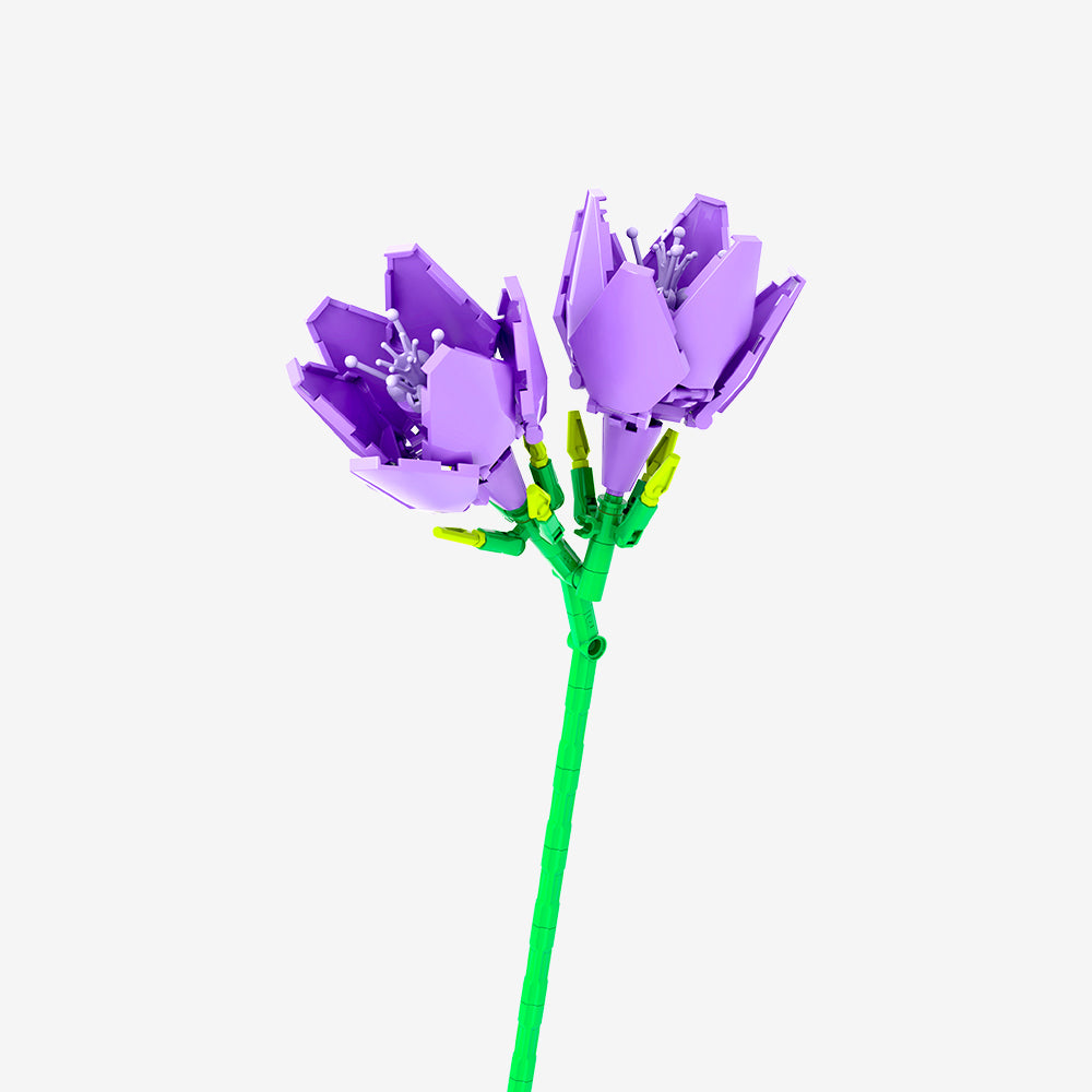 Purple Freesia