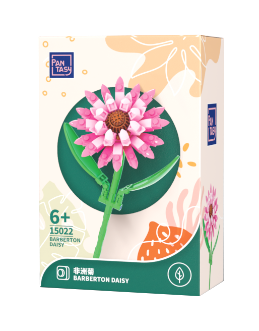 Pink Barberton Daisy