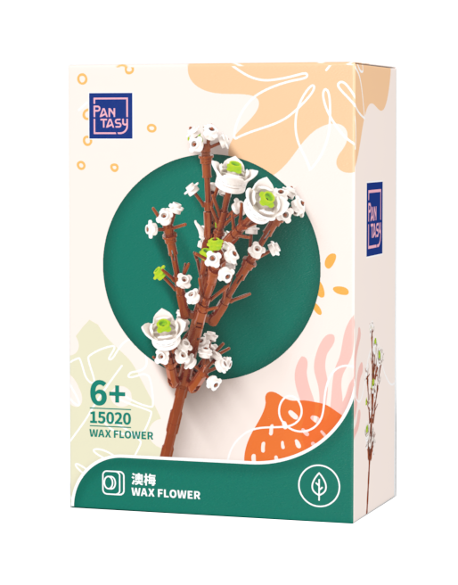 White Wax Flower