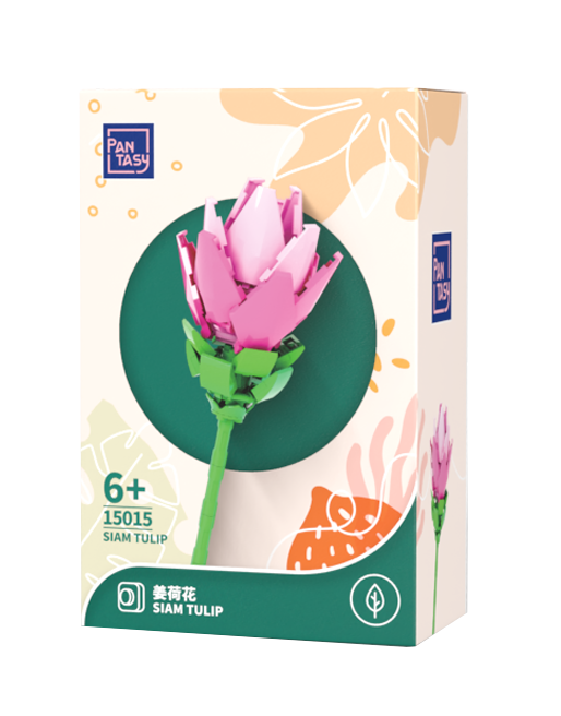 Siam Tulip