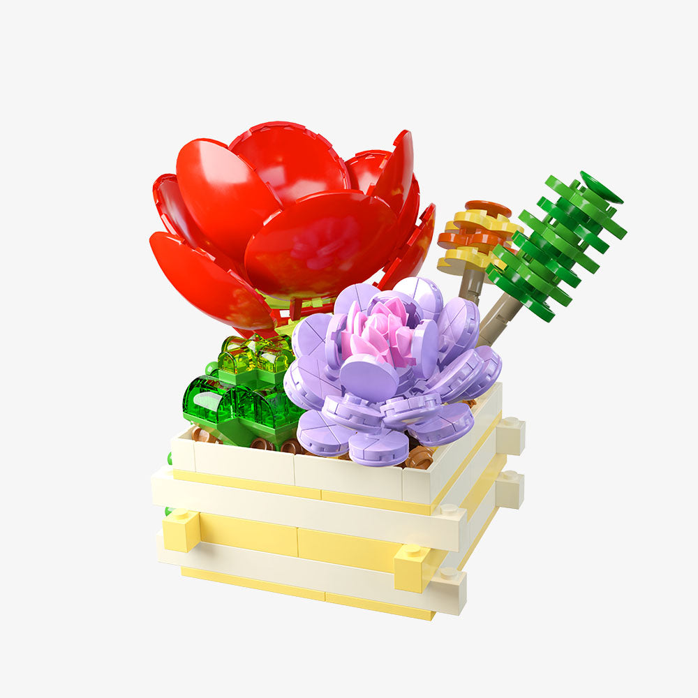 Succulent Garden Scarlet Whisper