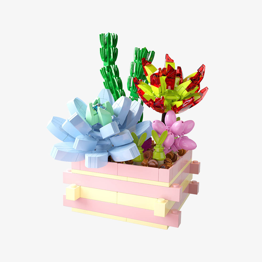 Succulent Garden Something Blue
