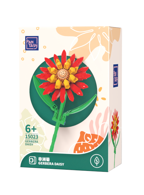 Red Barberton Daisy